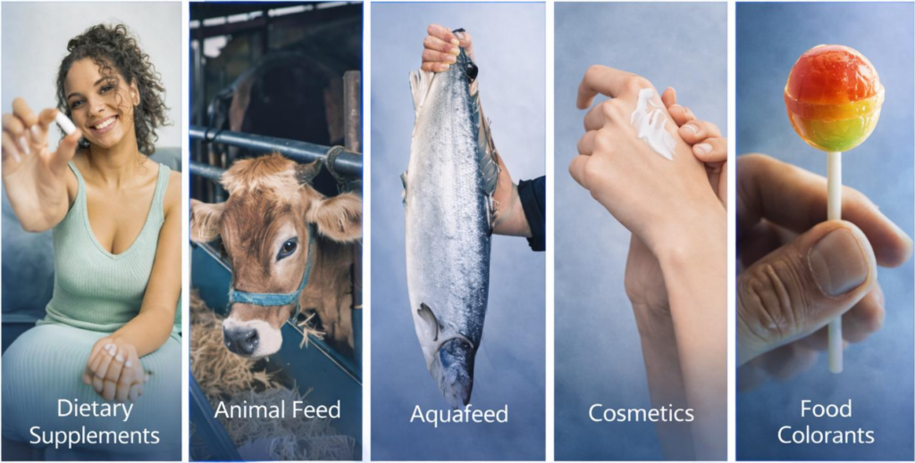 Una piattaforma, 5 possibili mercati